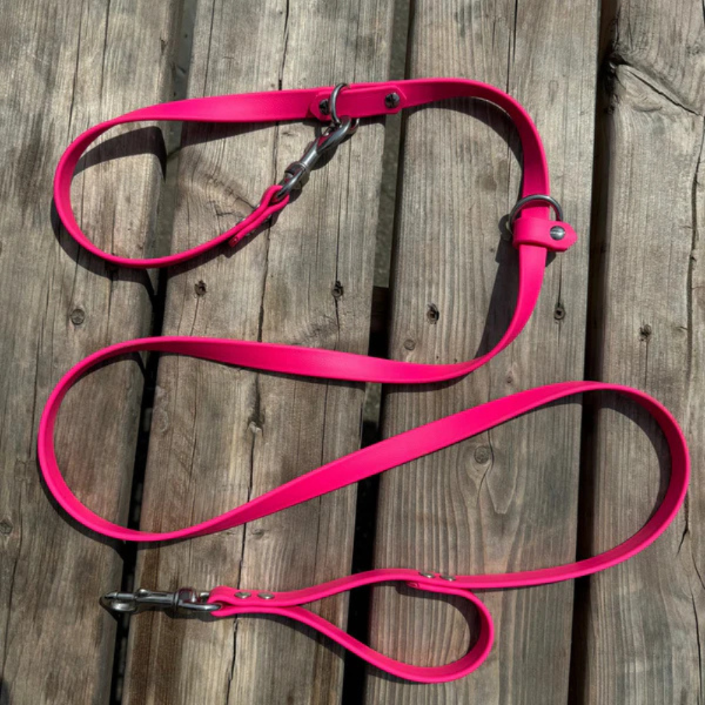 Multi-purpose Leash