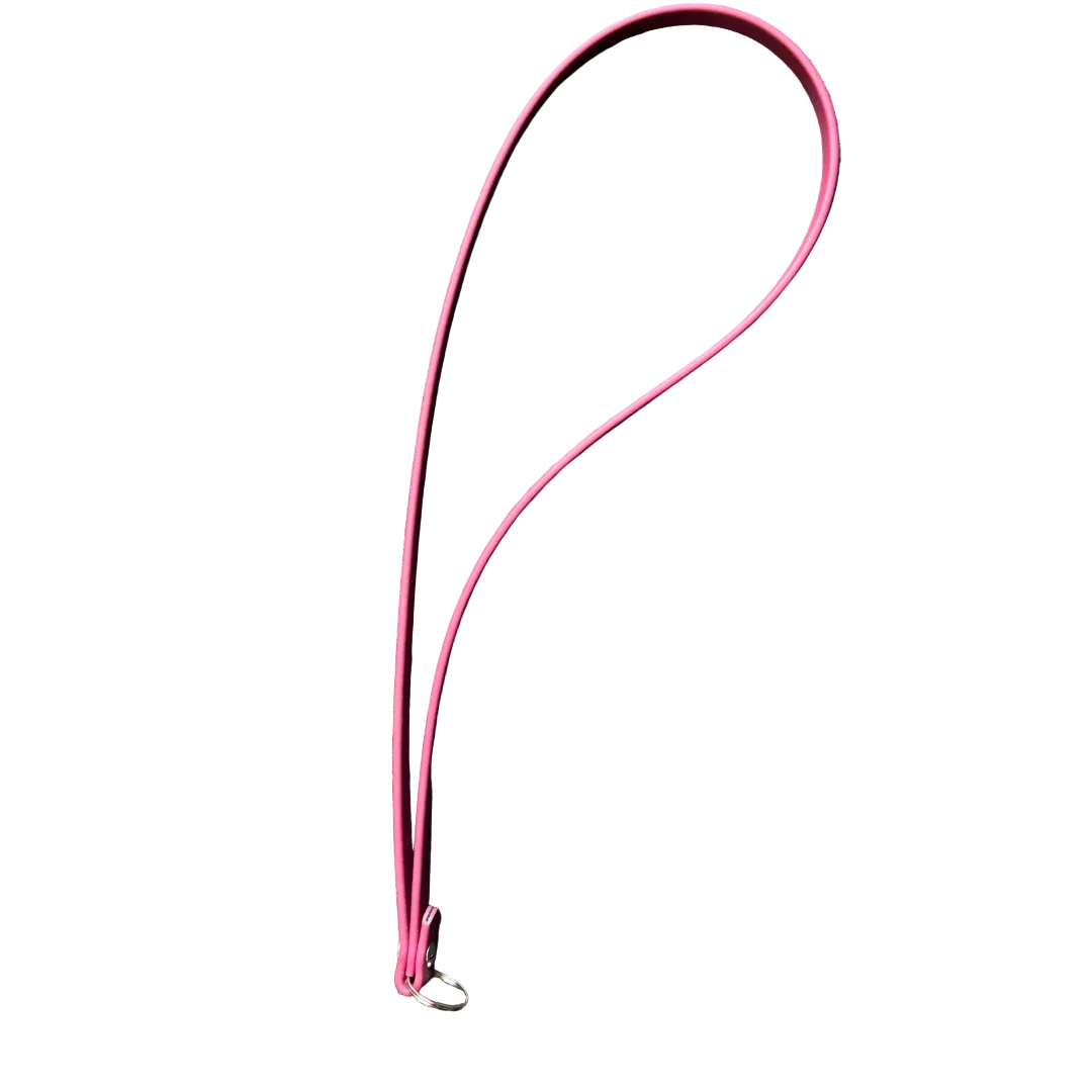 Controller Lanyard