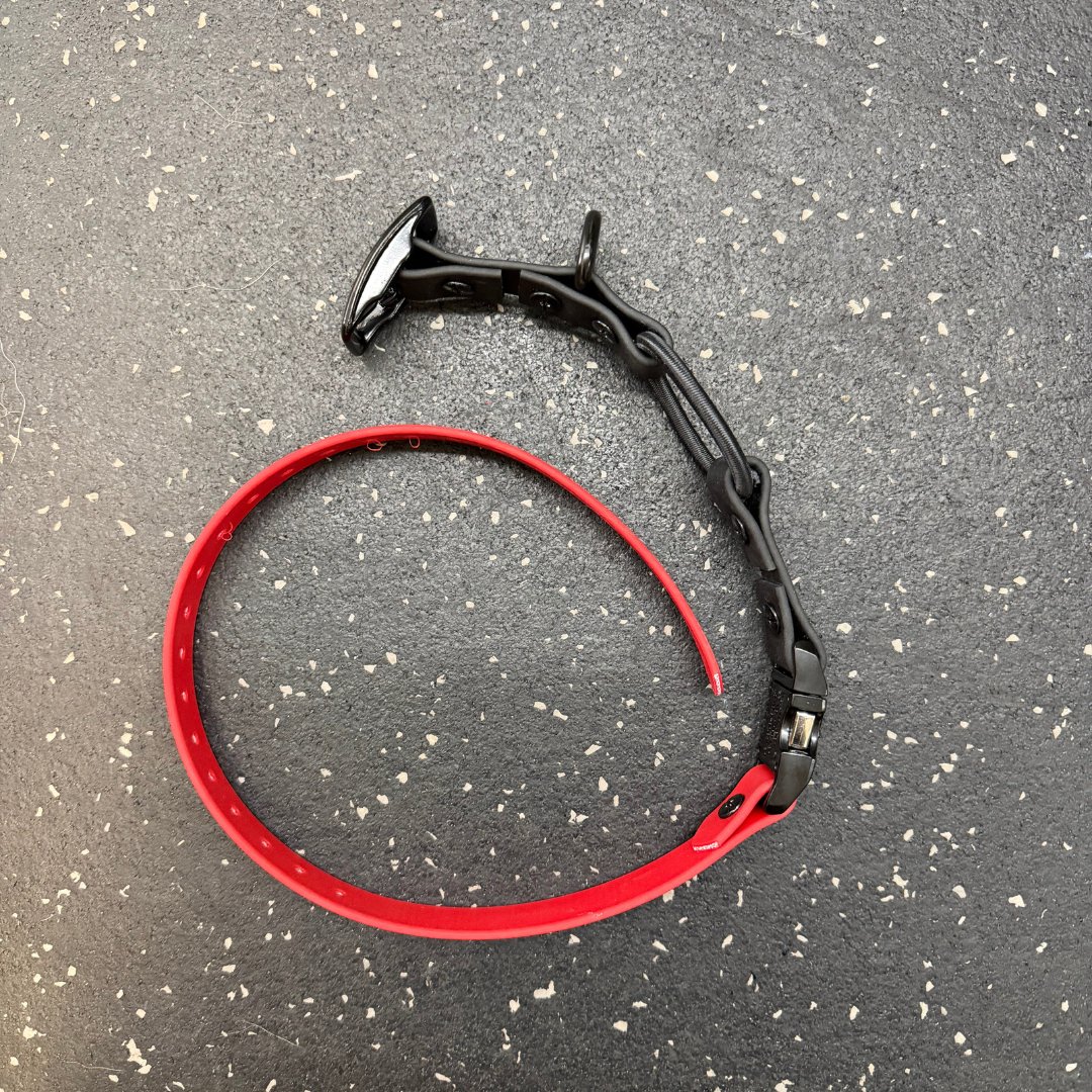 Replacement Collar for E-collar