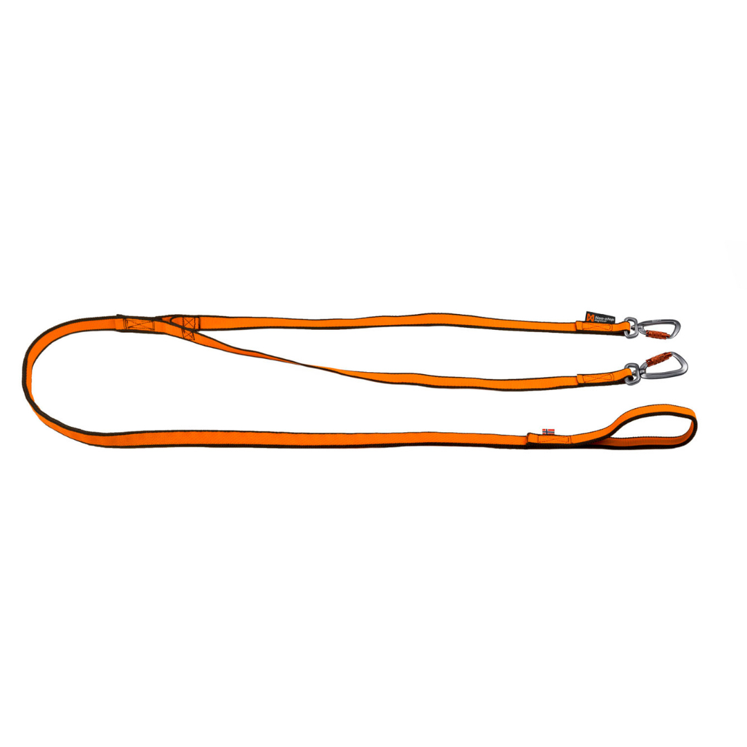 Bungee Double Leash