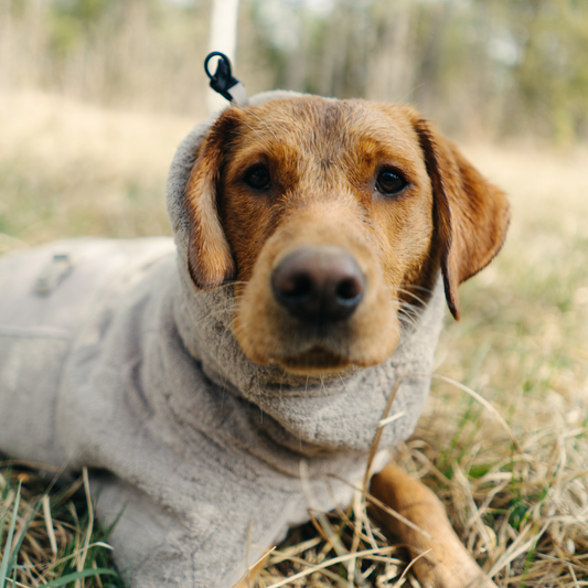 Drying Coat (PRE-ORDER)