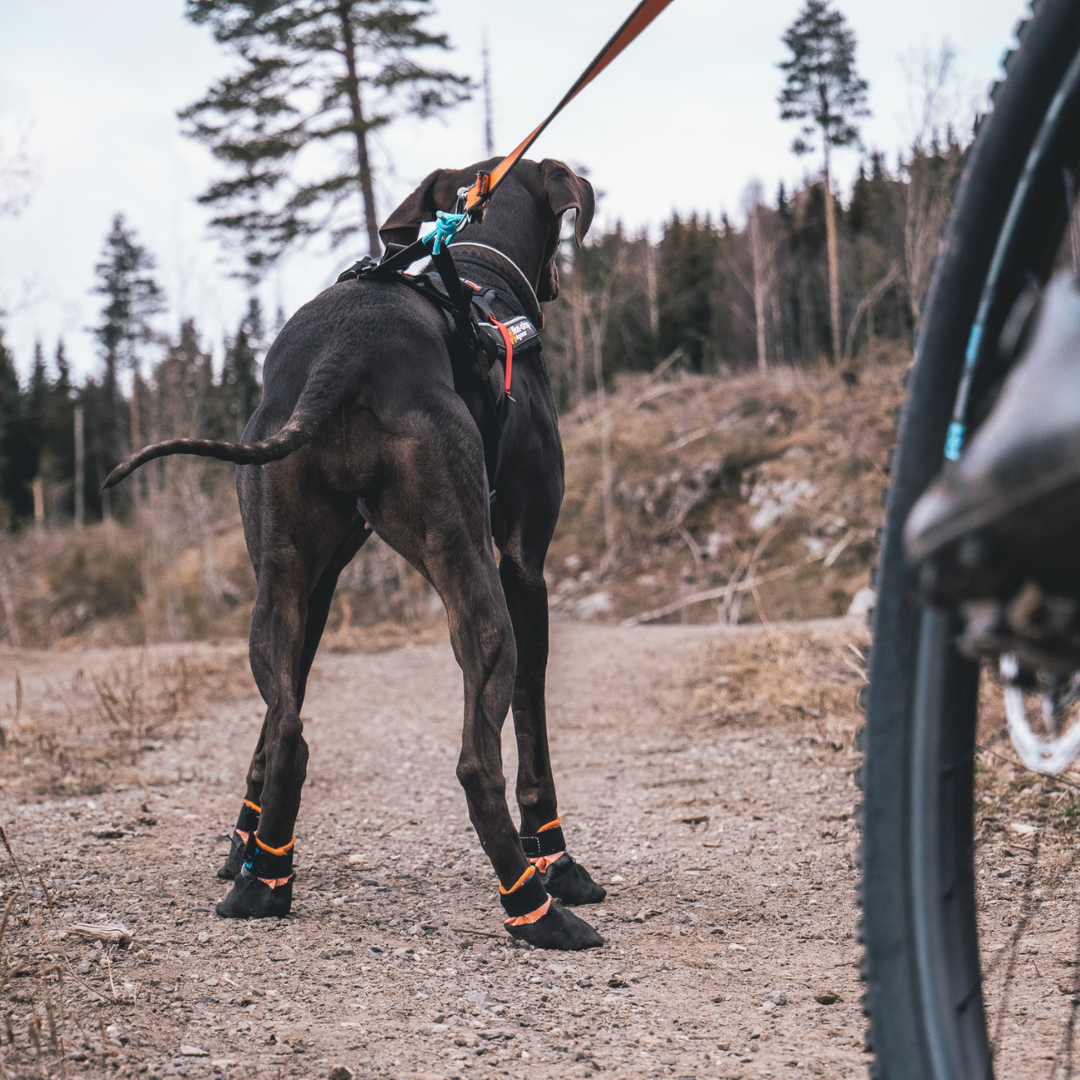 Protector Socks (Pre-Order)