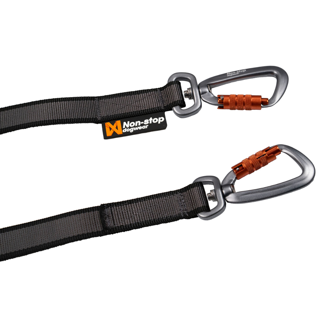 Leash Y For Two Dogs