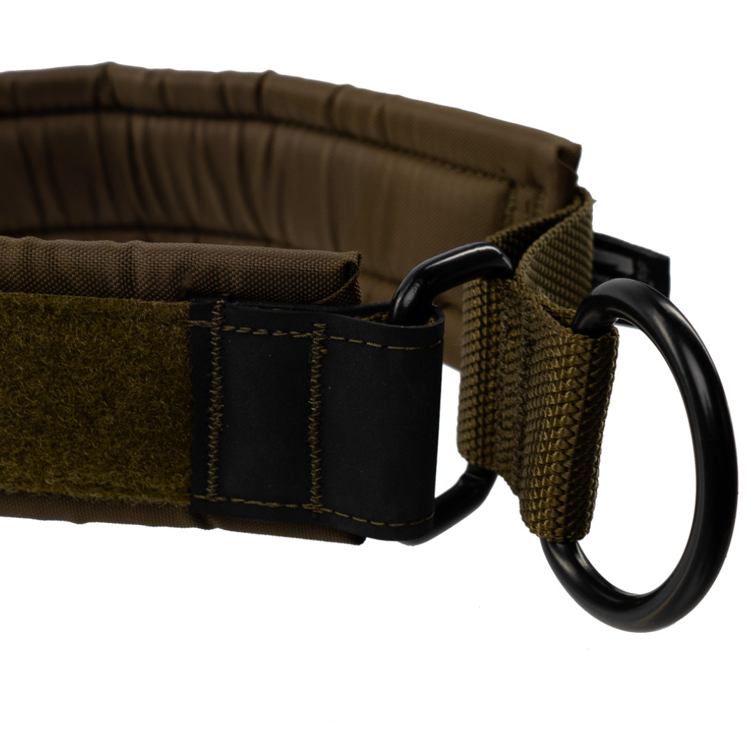 Martingale Solid Collar WD