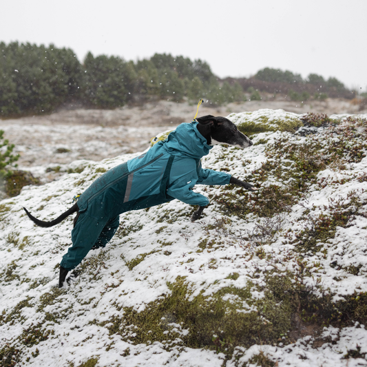 Fjord Overall Raincoat