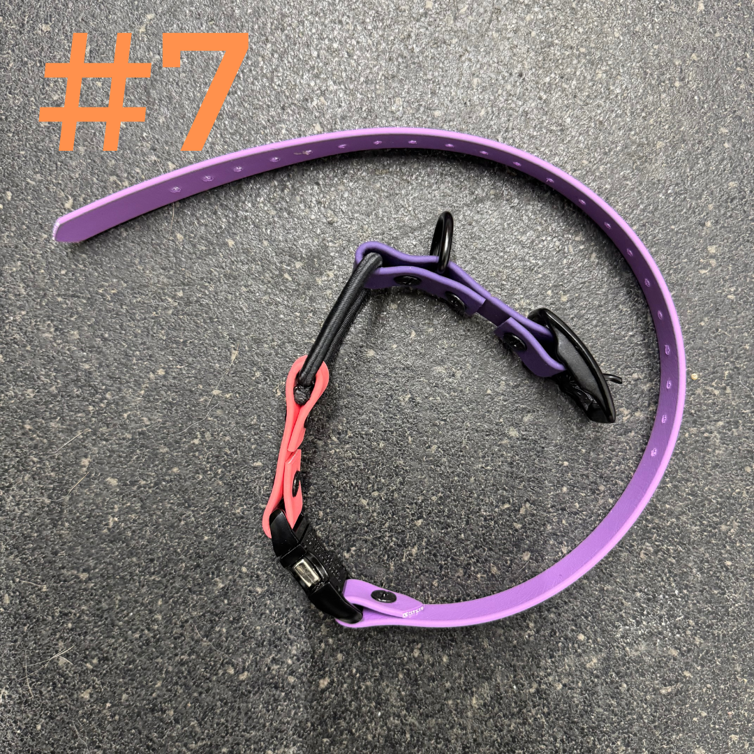 Colliers pour e-collar (bien lire la description)