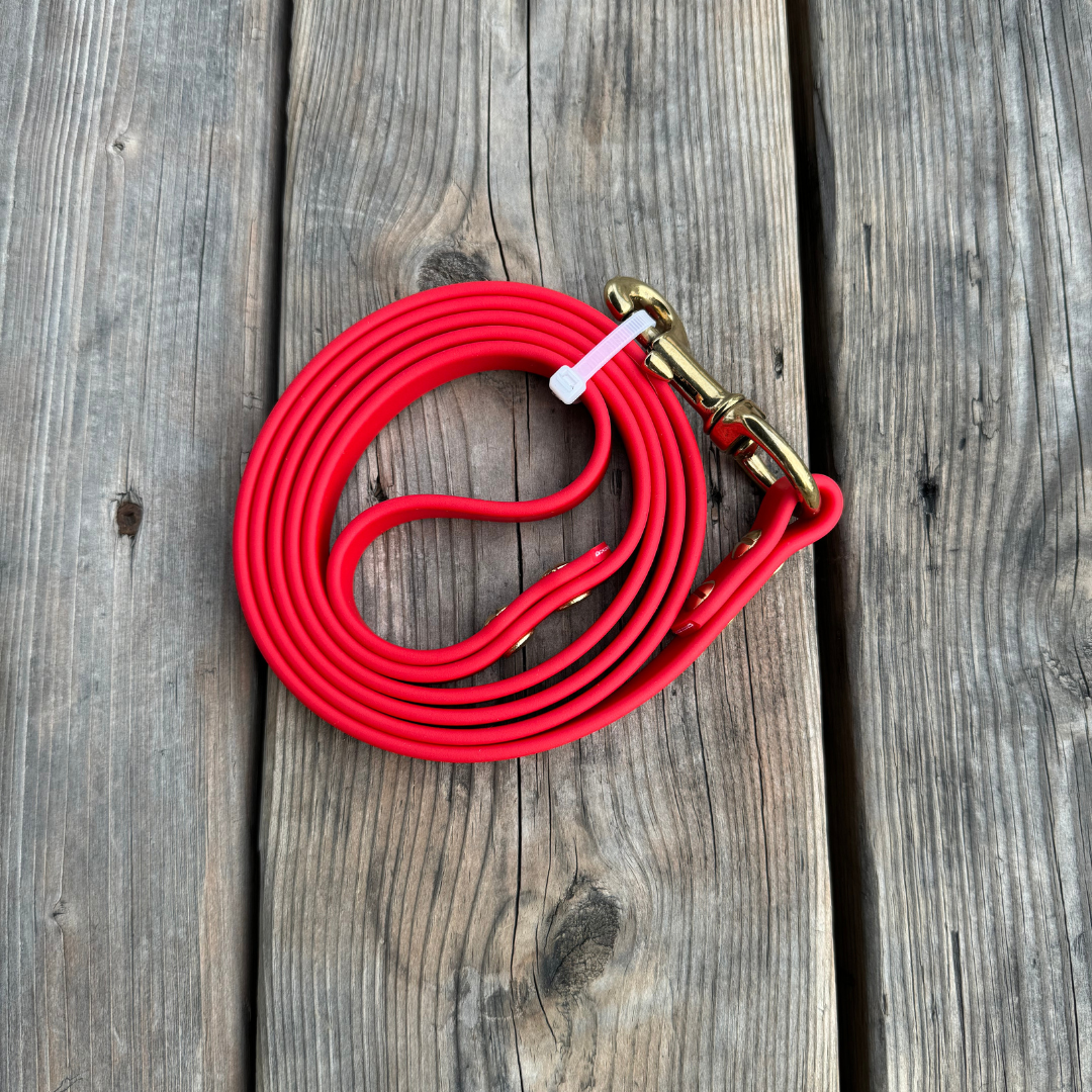 Standard Leash