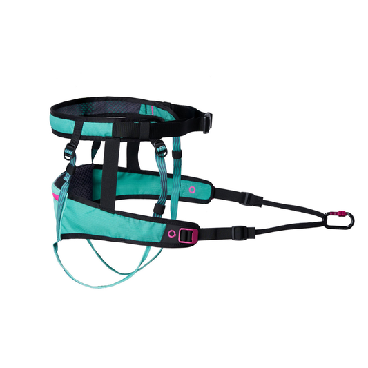 CaniX belt 2.0 (pre-order)