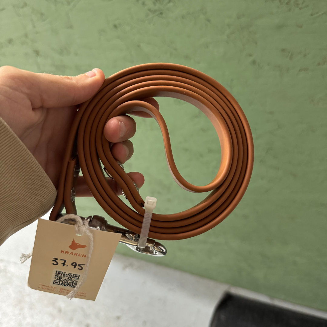 Standard Tan 5 foot leash