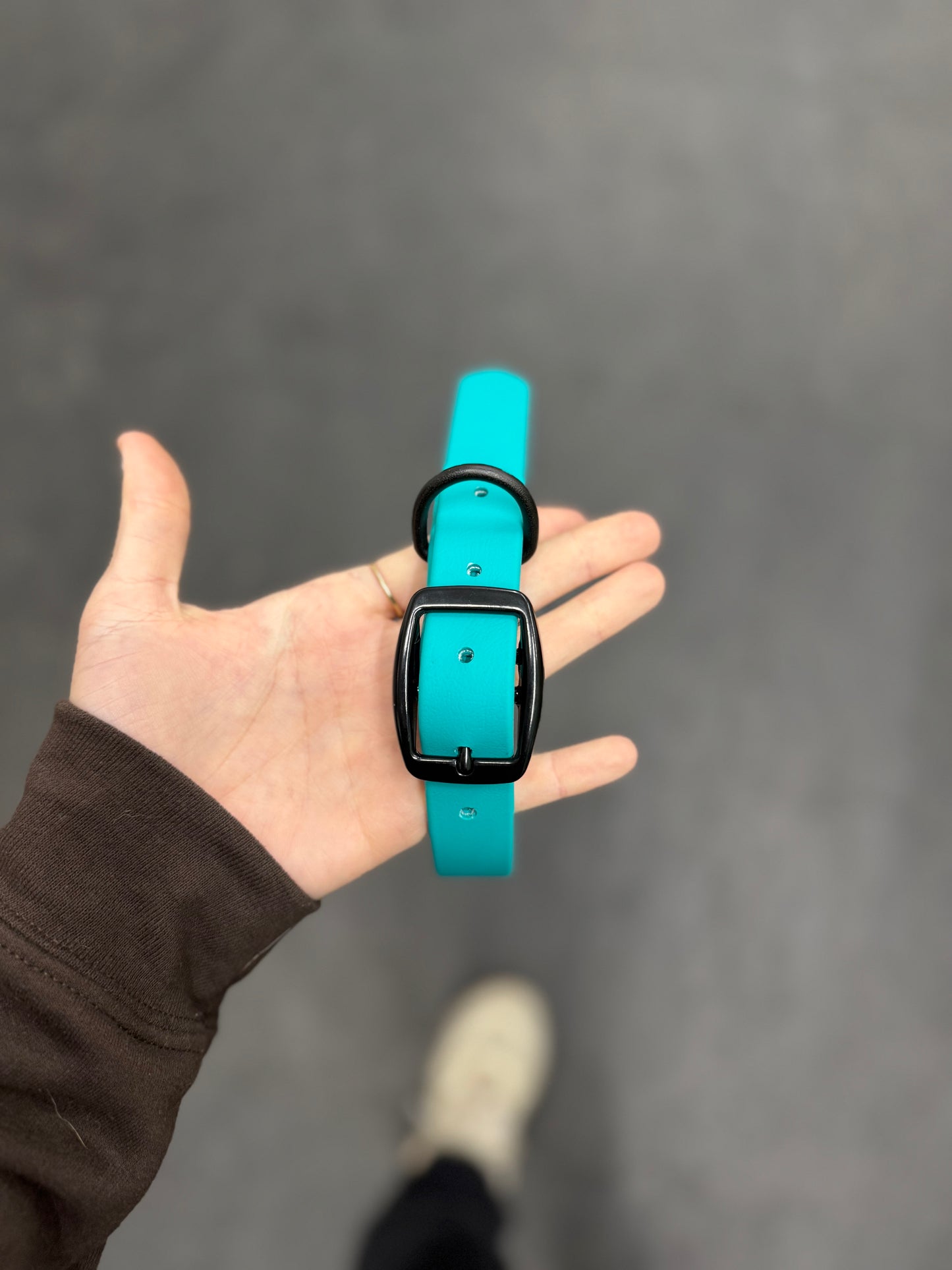 Standard Collar Medium Teal