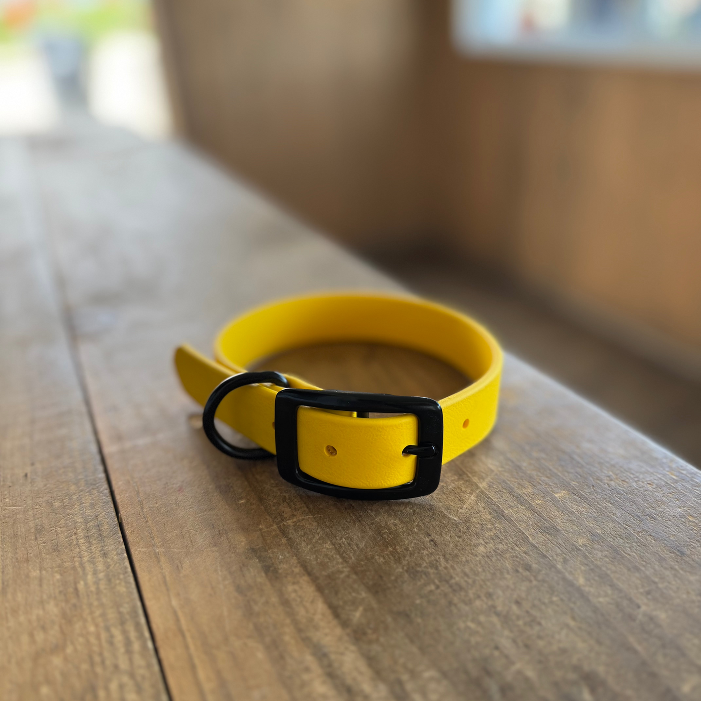Small Yellow Standard Collar