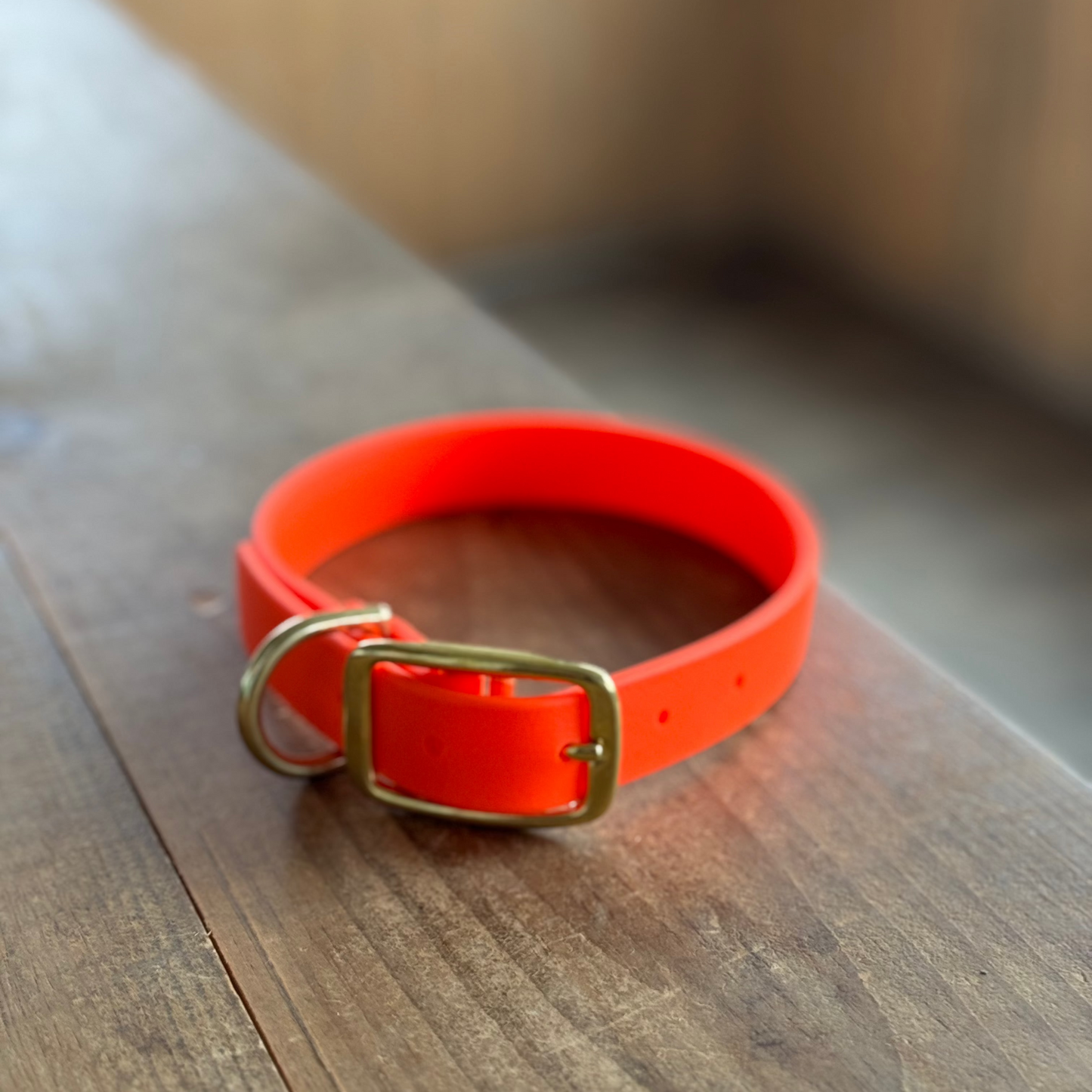 Standard Medium Orange Collar