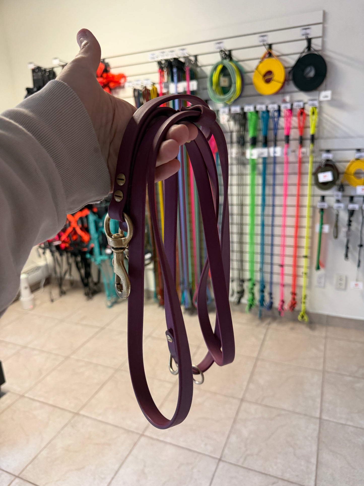 Laisse Multi-fonctions 8 pieds USAGÉ