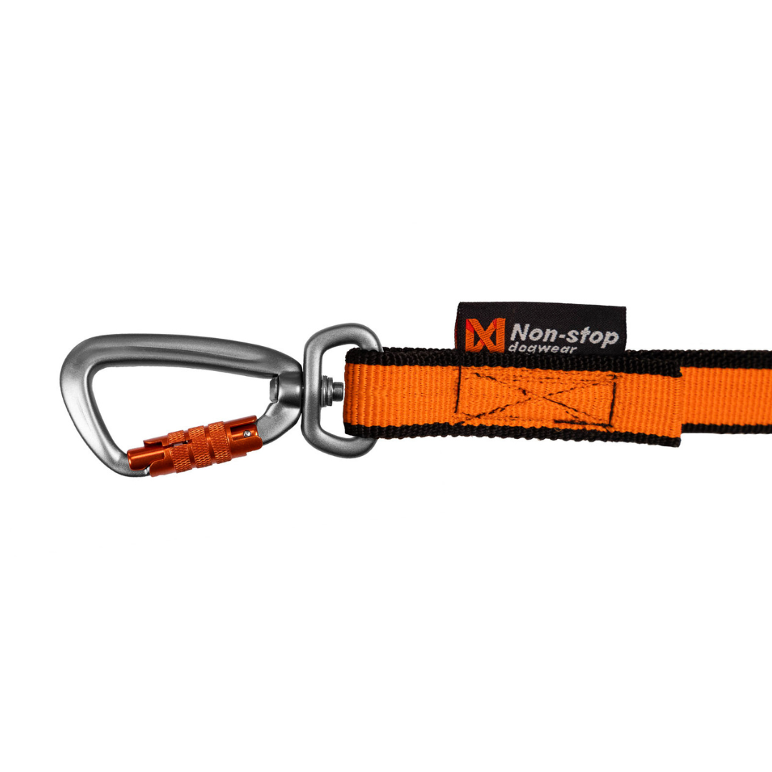 Laisse Bungee