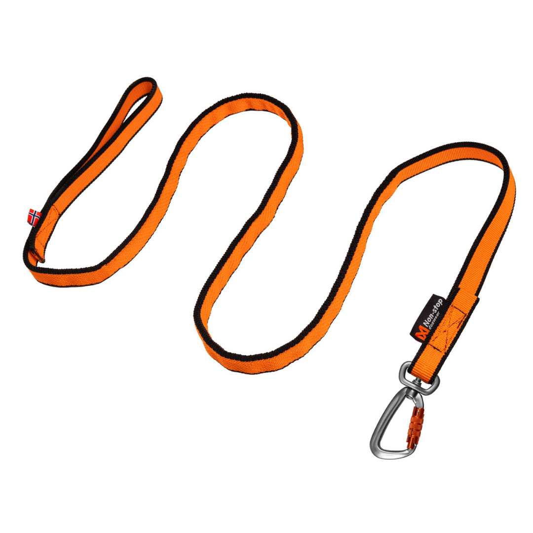 Laisse Bungee