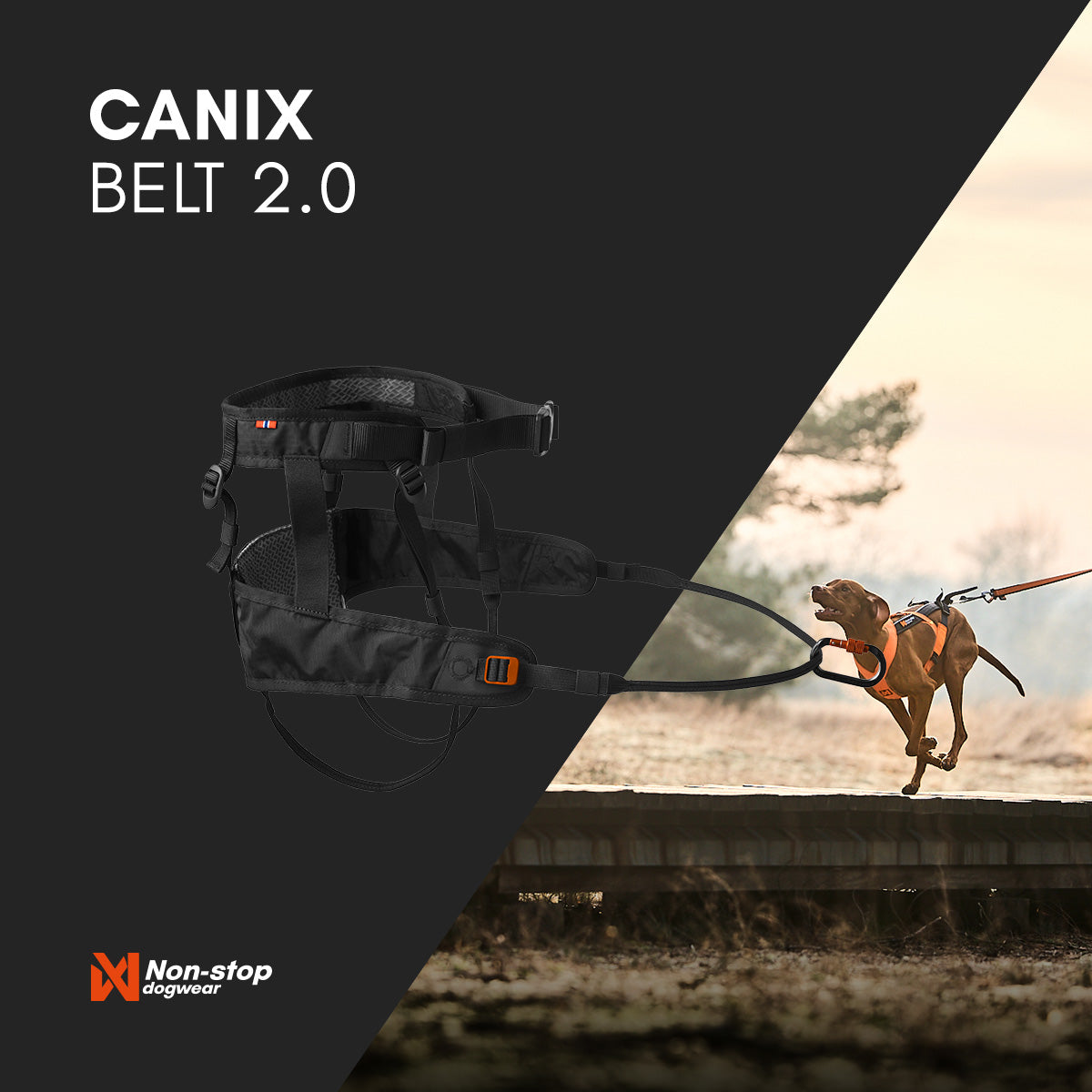 CaniX belt 2.0