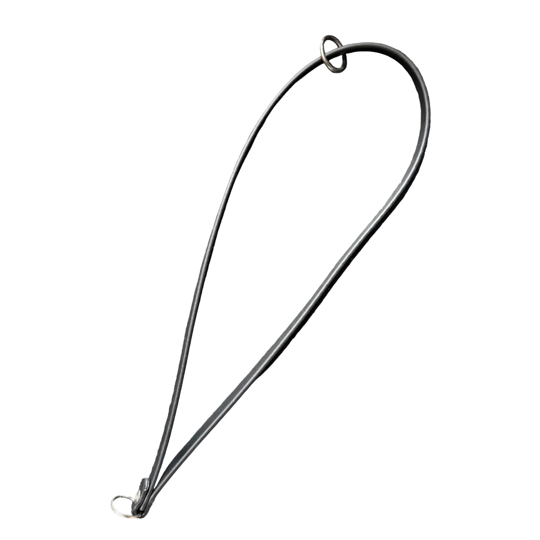 Controller Lanyard