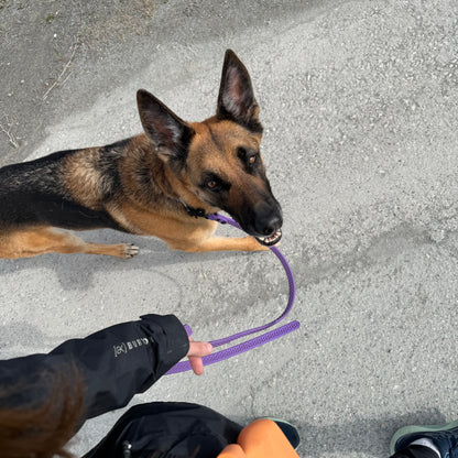 Biothane Grip Tactical Leash/Long Line