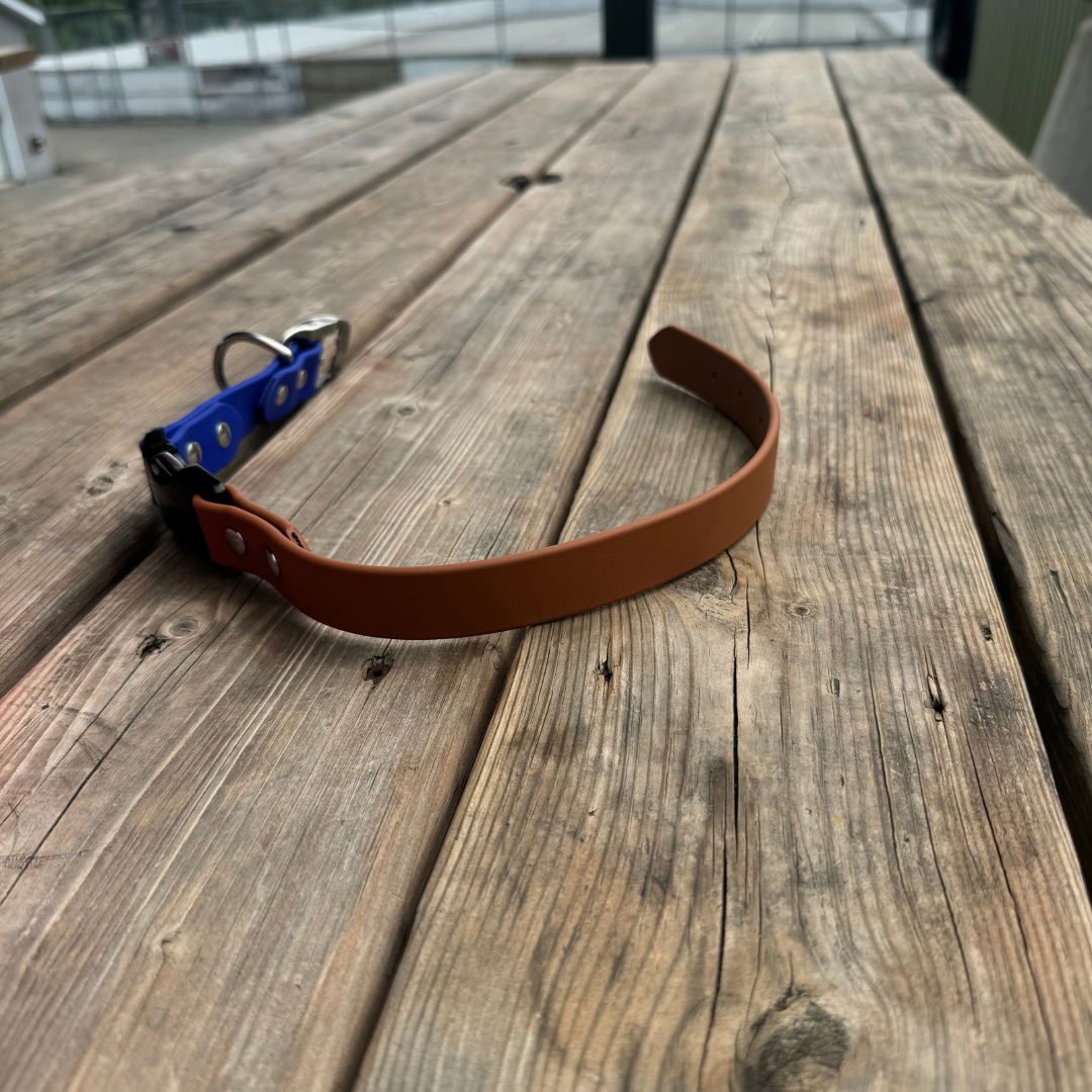 Quick Release Collar