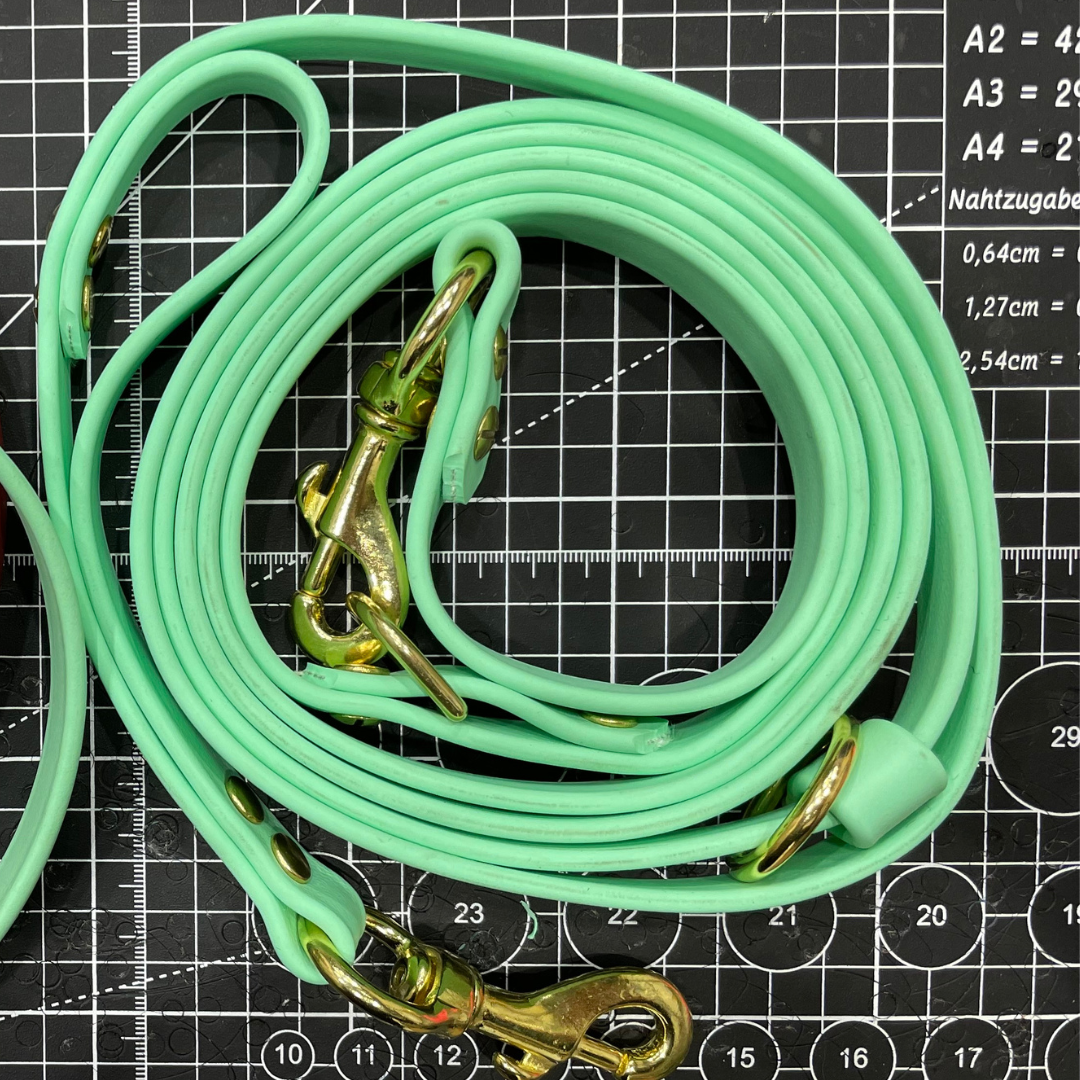 Multi-function leash