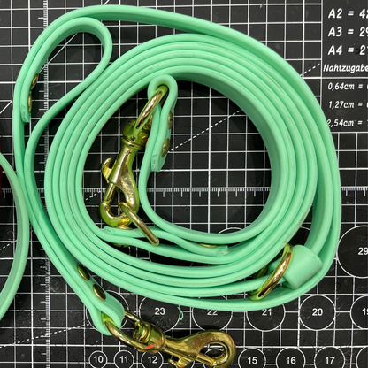 Multi-function leash