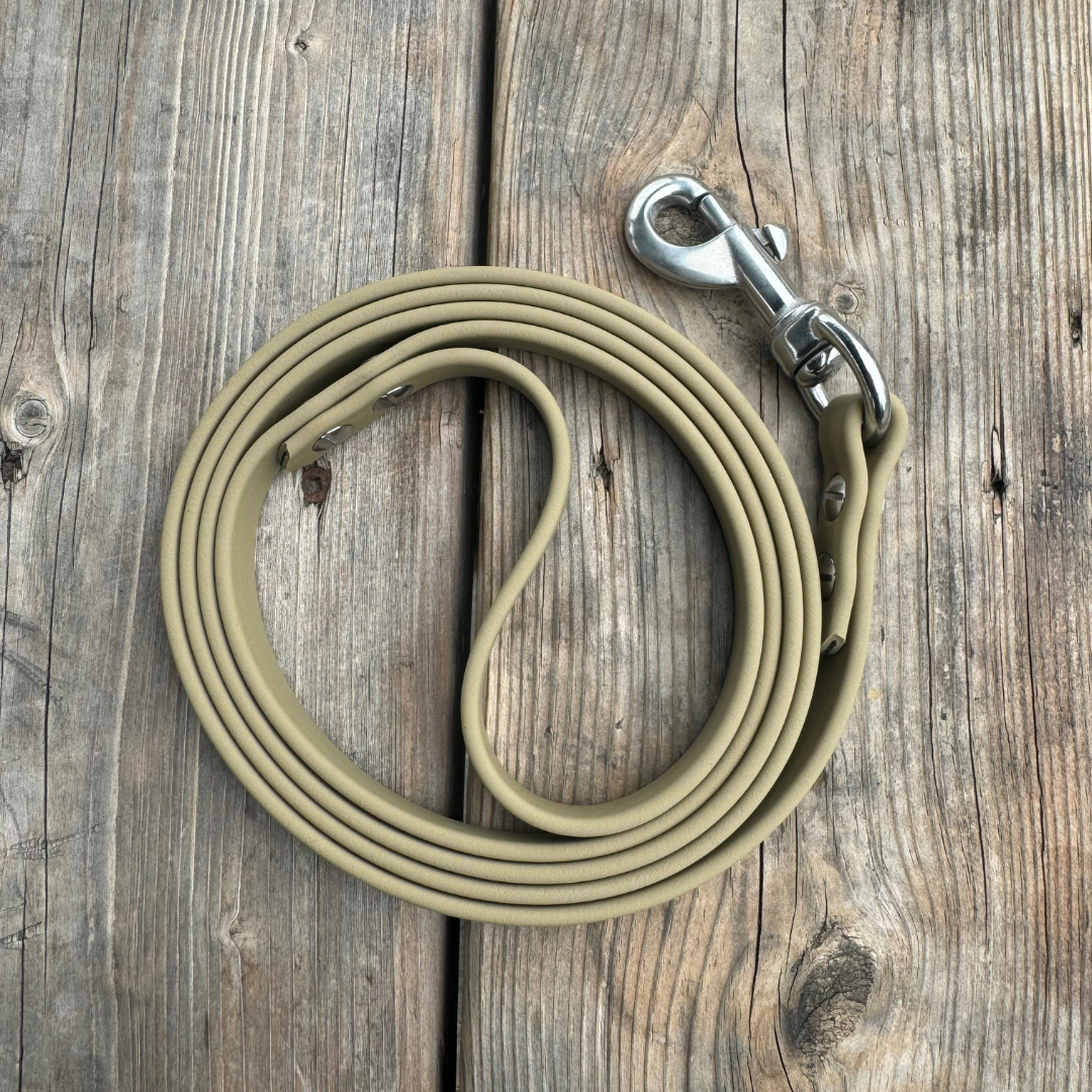 Standard Leash