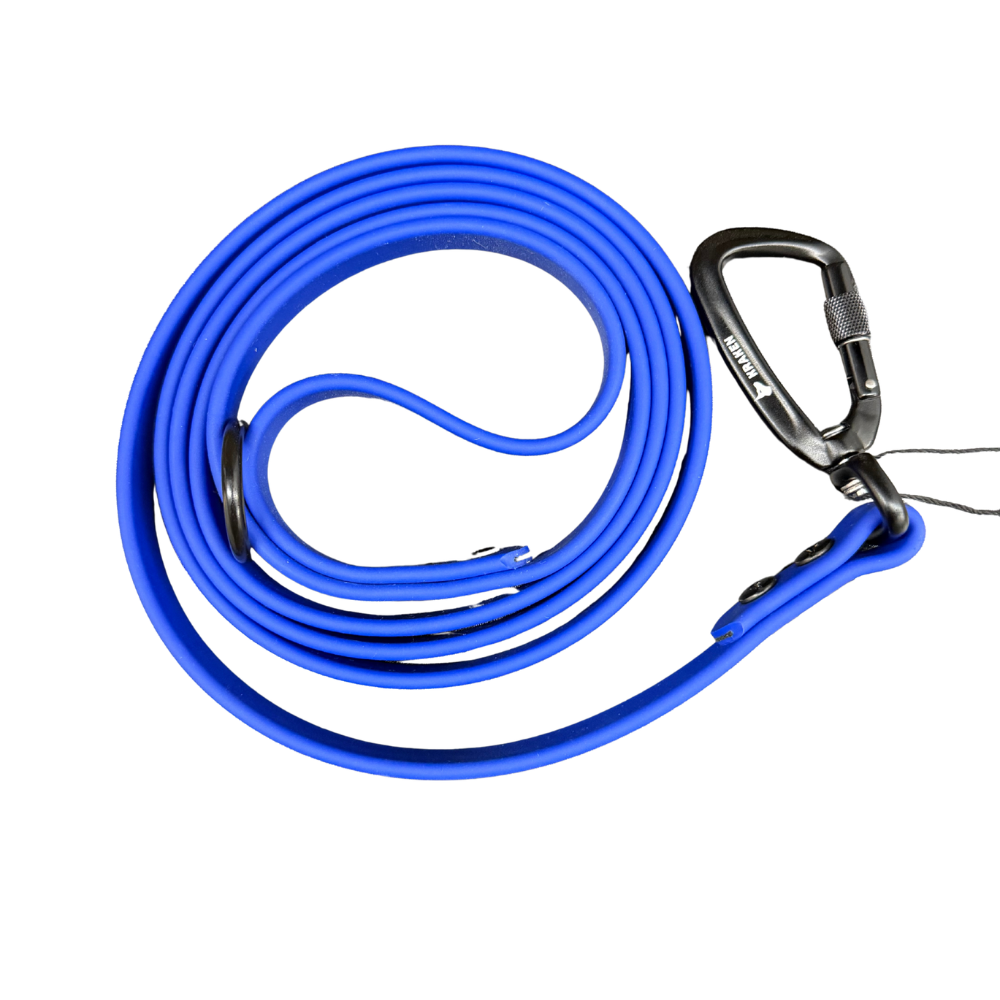 Alpine Regular Leash