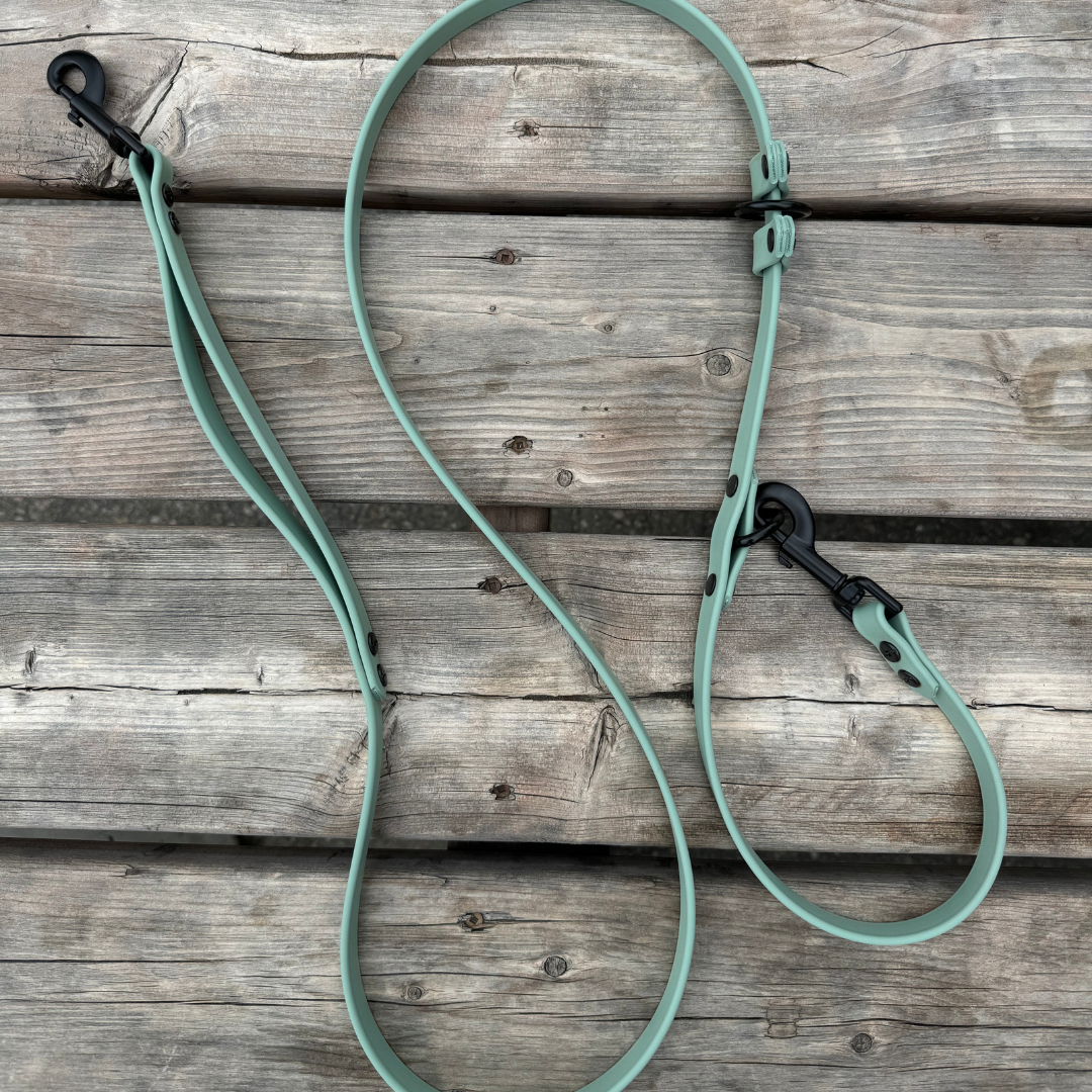 Multi-function leash