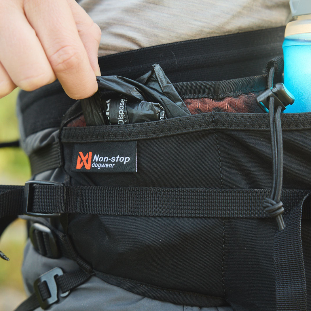 Trail Light Belt