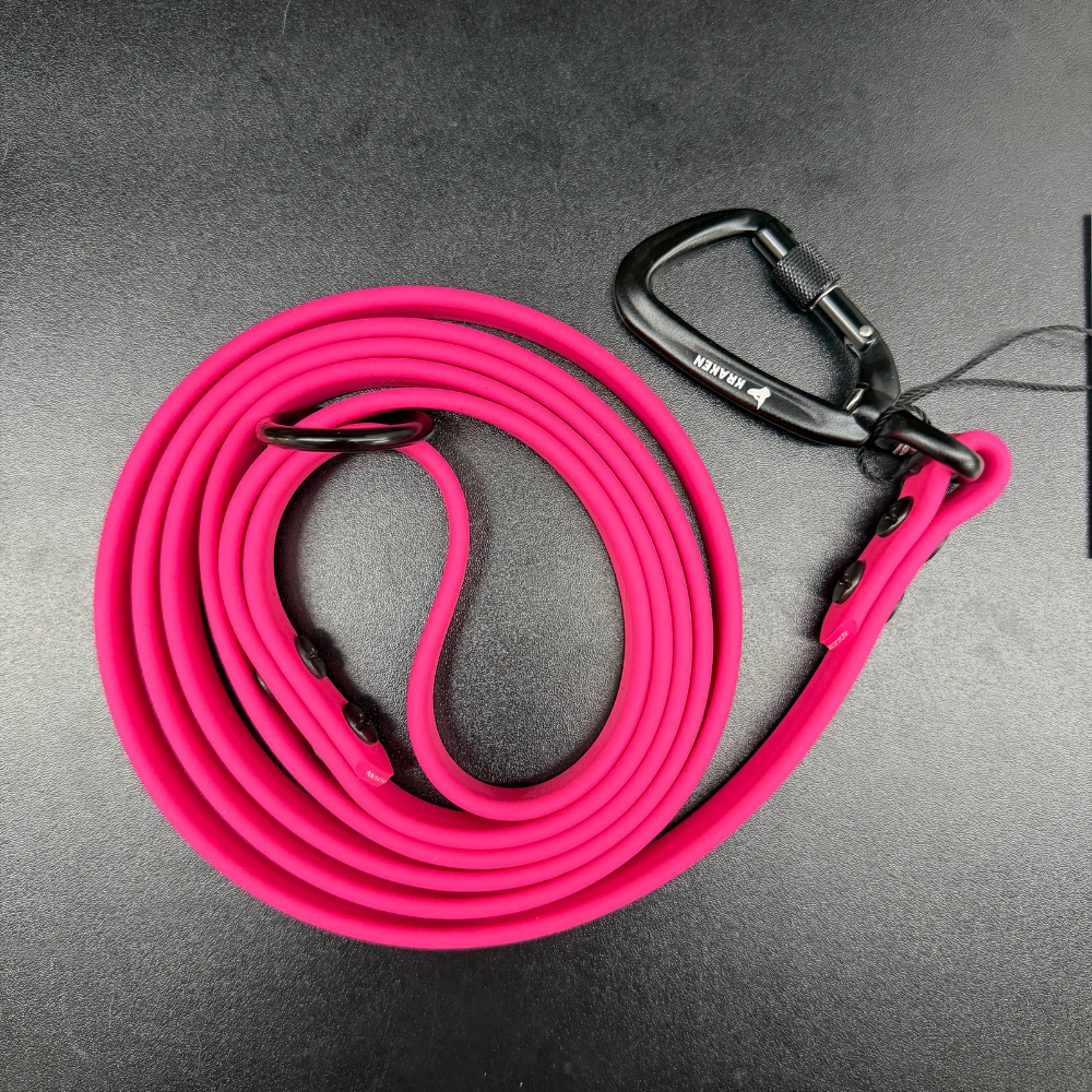 Alpine Regular Leash