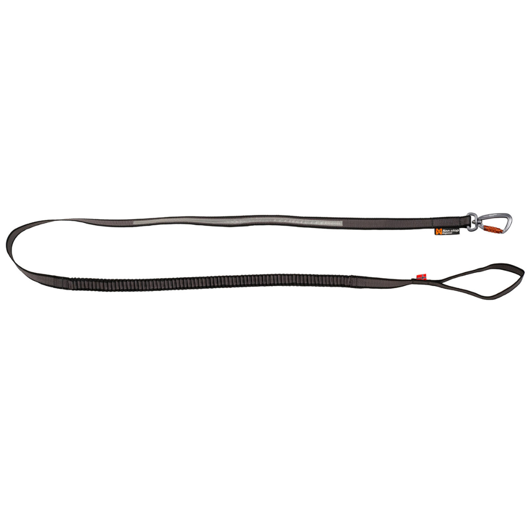 Laisse Touring Bungee
