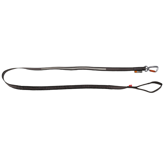 Laisse Touring Bungee