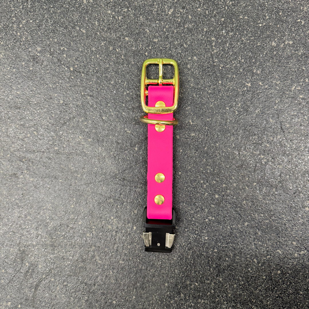 Quick Release Collar Buckle