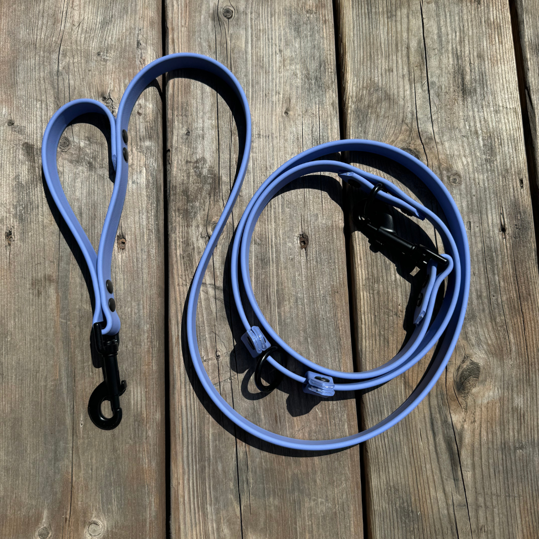 Multi-function leash