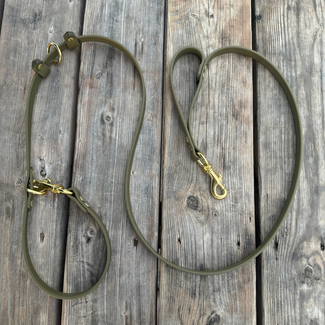 Multi-function leash