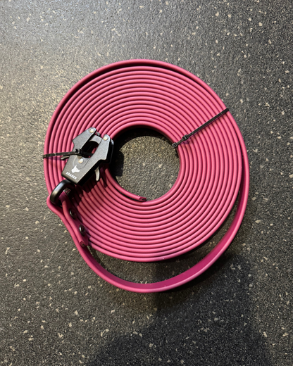 Laisse/Longe Standard Tactique