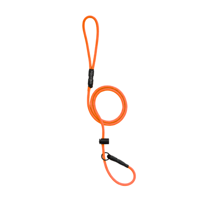 Paracord Slip Leash