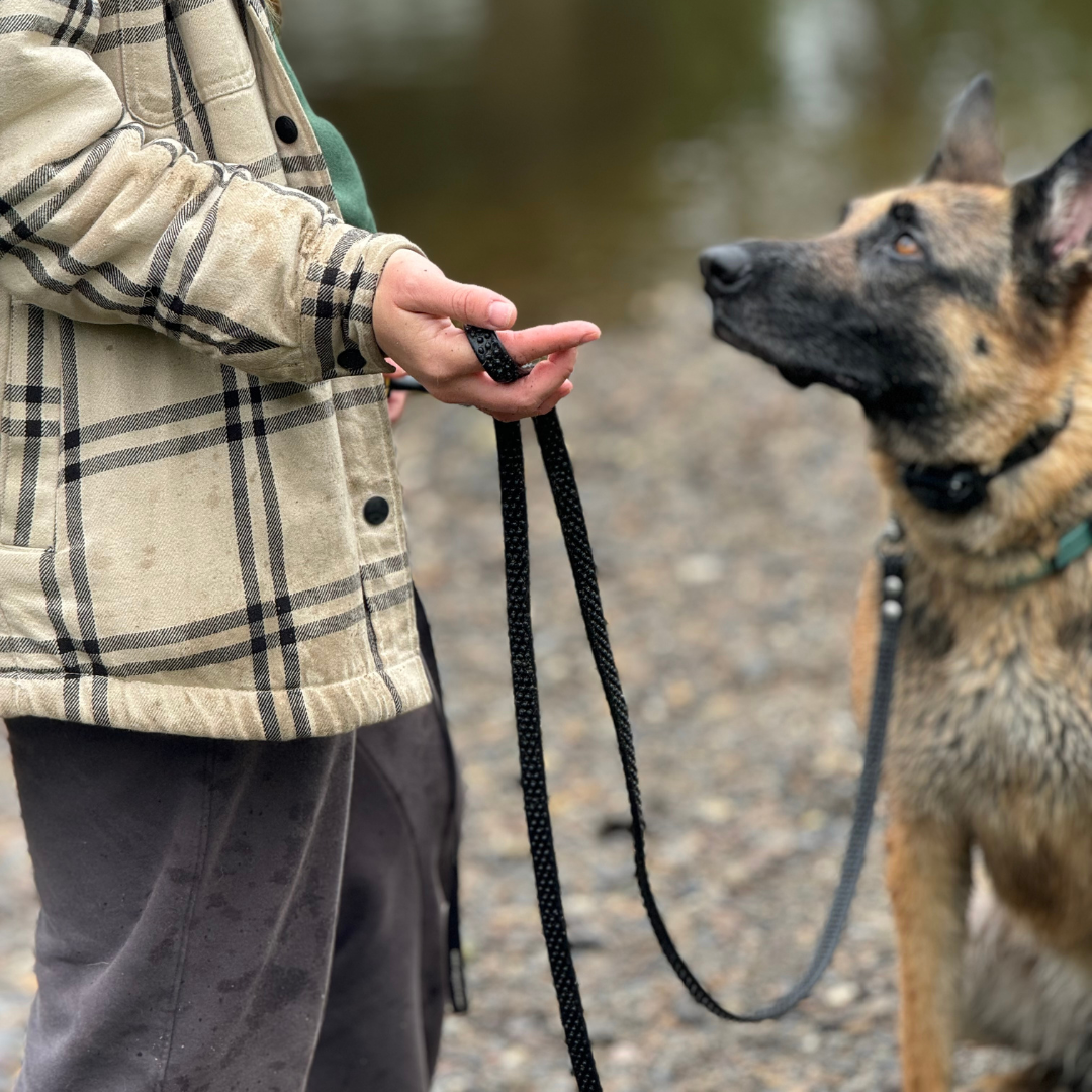 Biothane Grip Leash/Long line