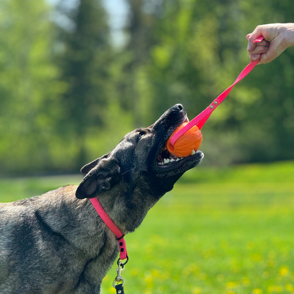 Tug Ball