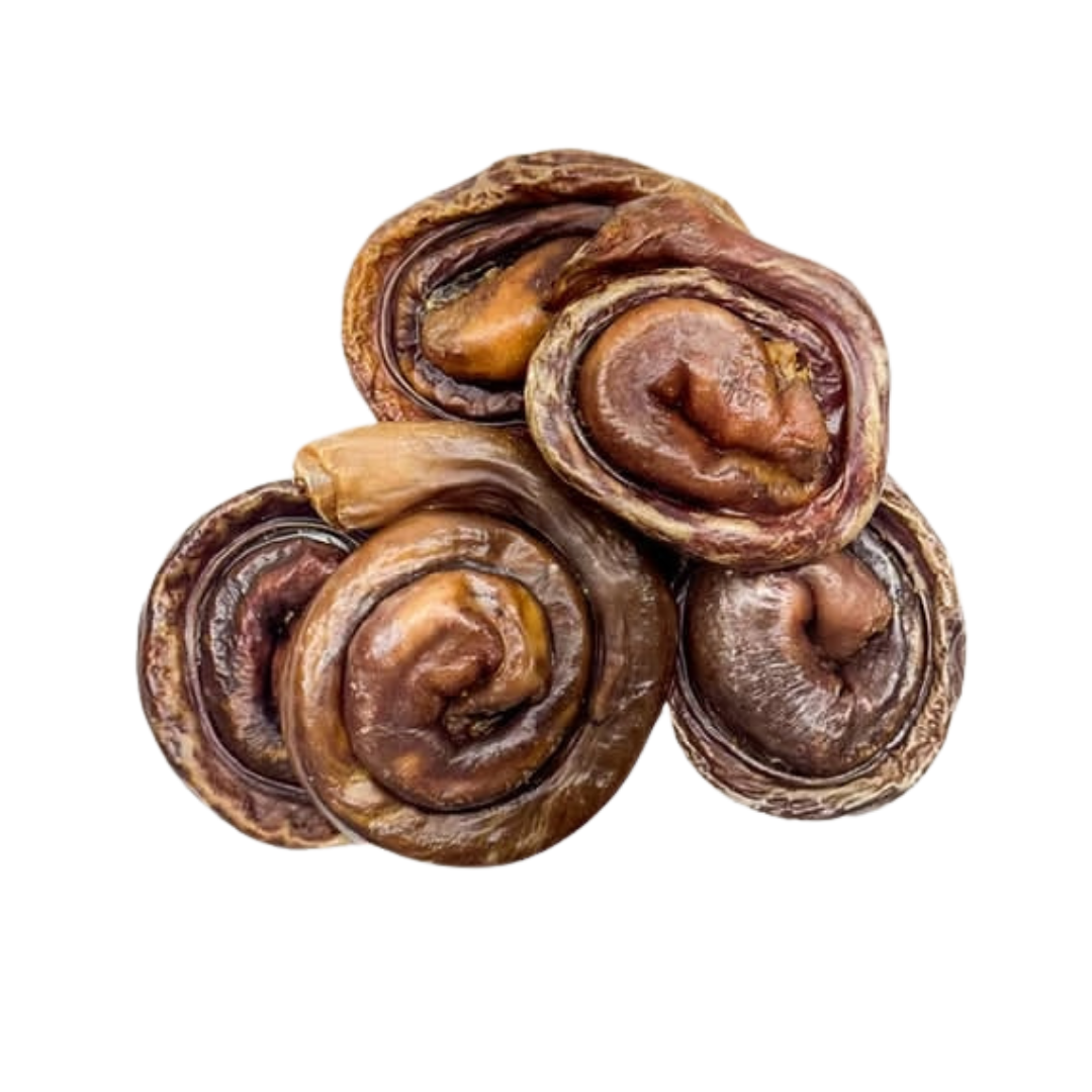 Brioche d'œsophage de porc Grand