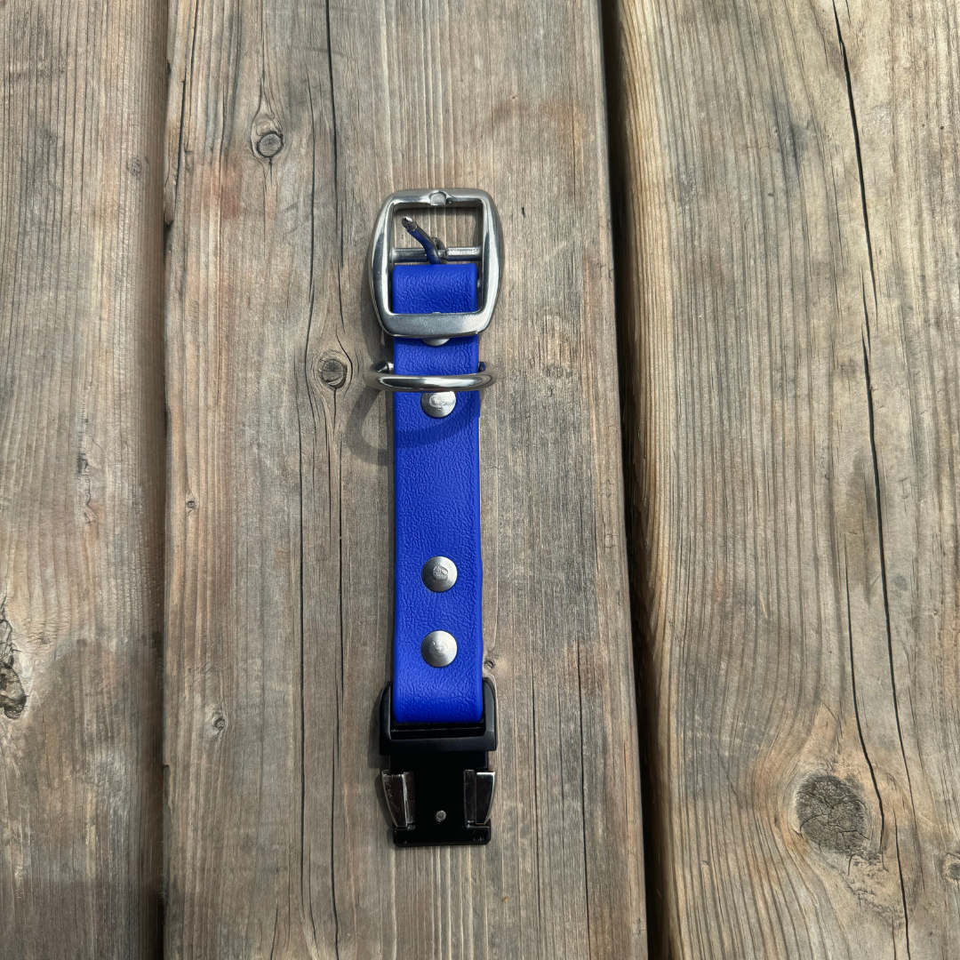 Quick Release Collar Buckle