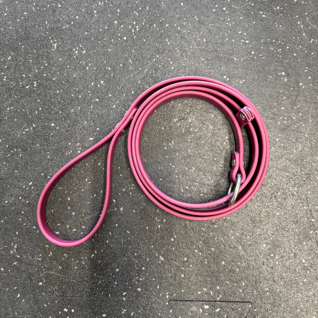 Slip Leash/Long line