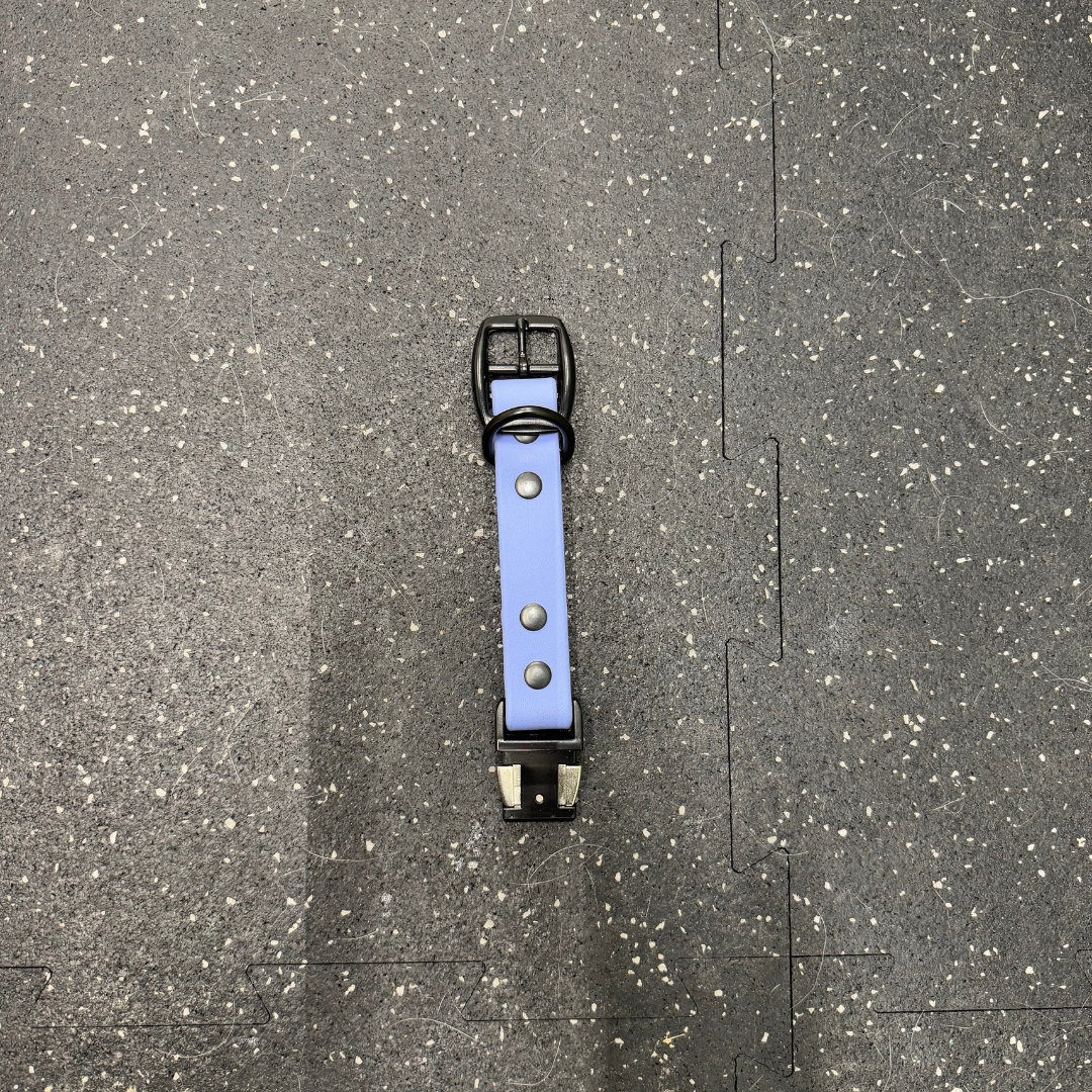 Quick Release Collar Buckle