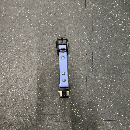 Quick Release Collar Buckle