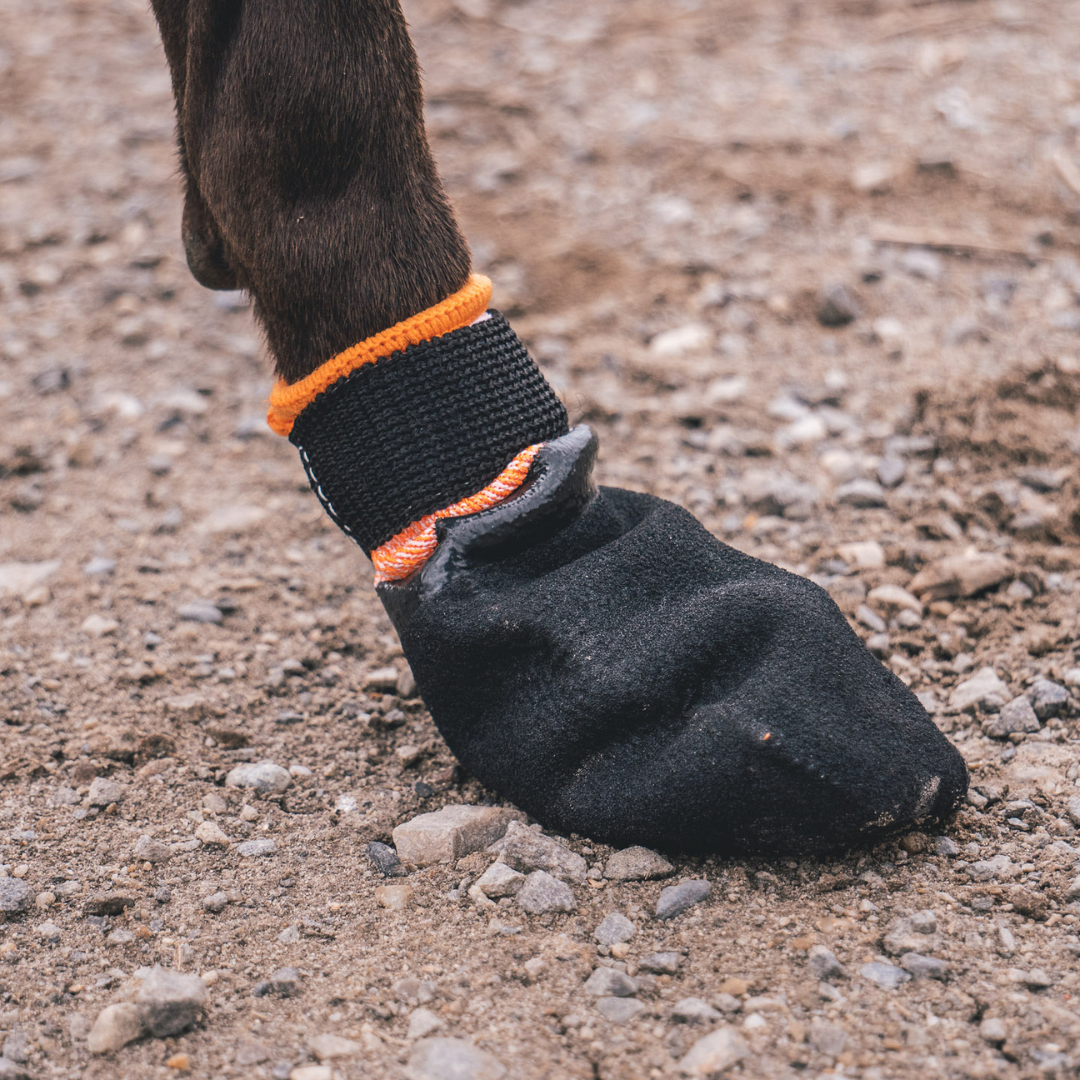 Protector Socks (Pre-Order)