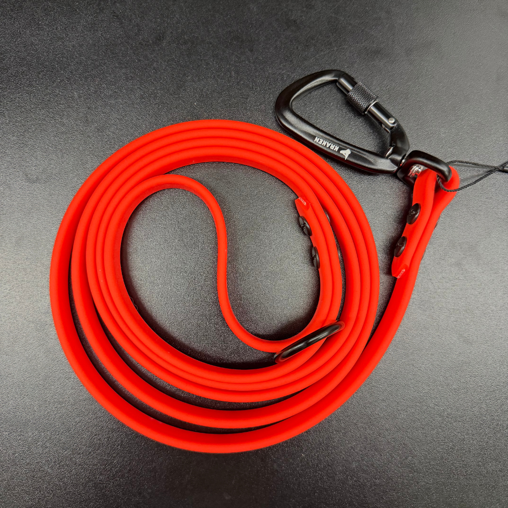Alpine Regular Leash