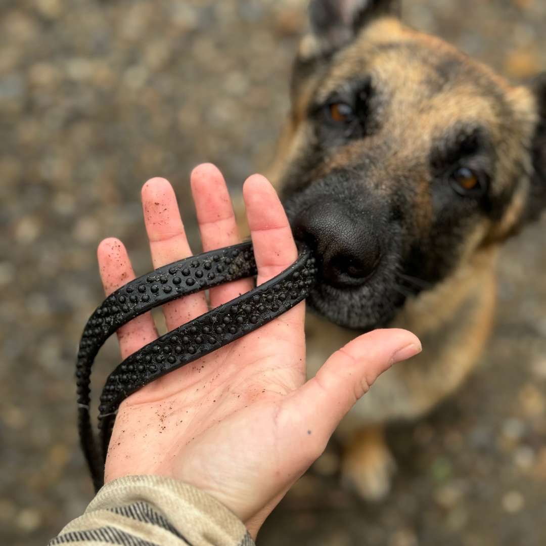 Biothane Grip Leash/Long line