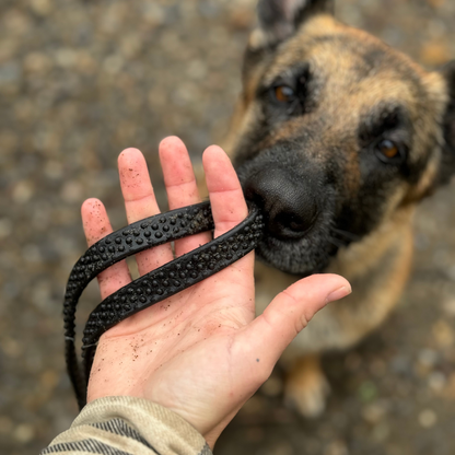 Biothane Grip Leash/Long line