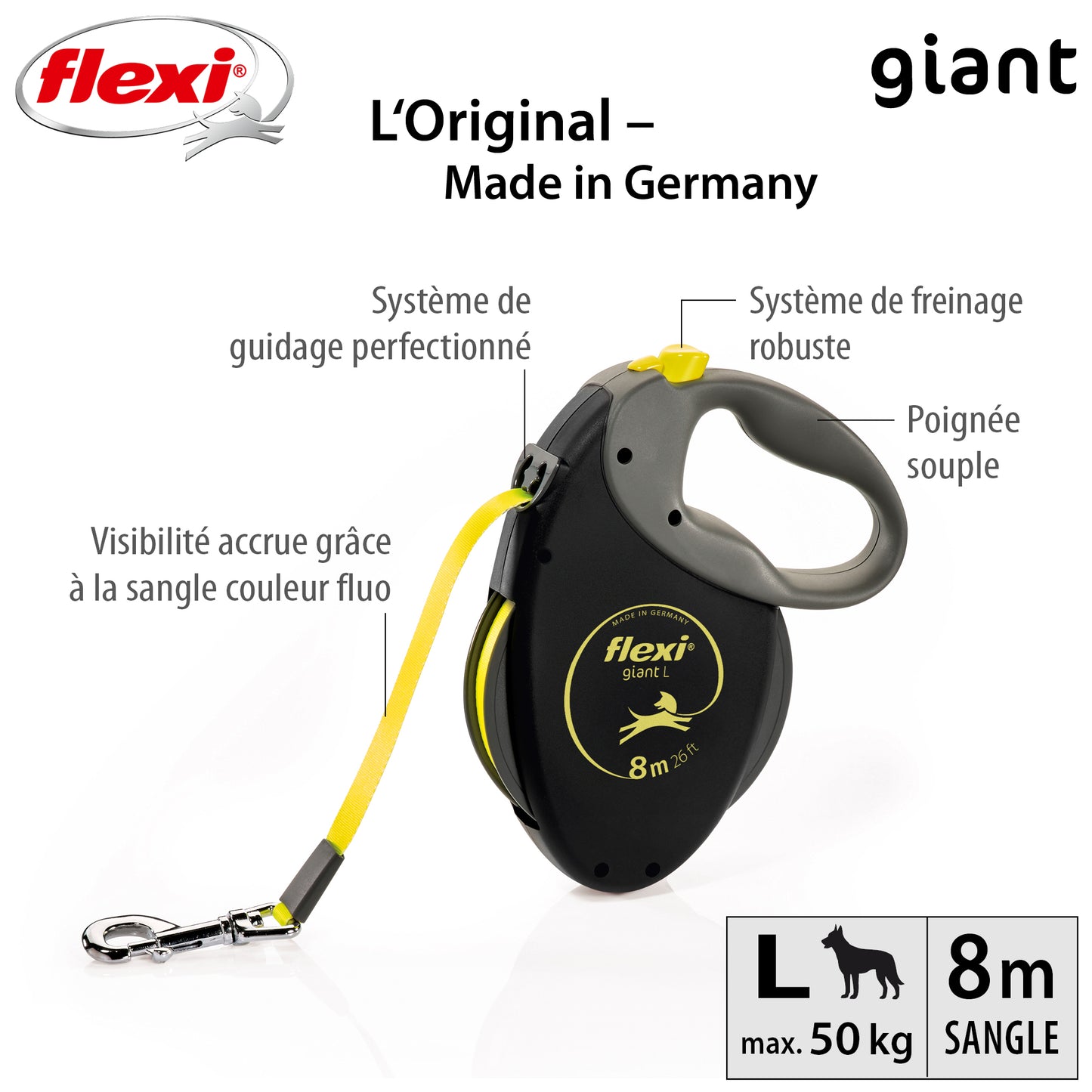 Laisse rétractable Flexi Giant Tape