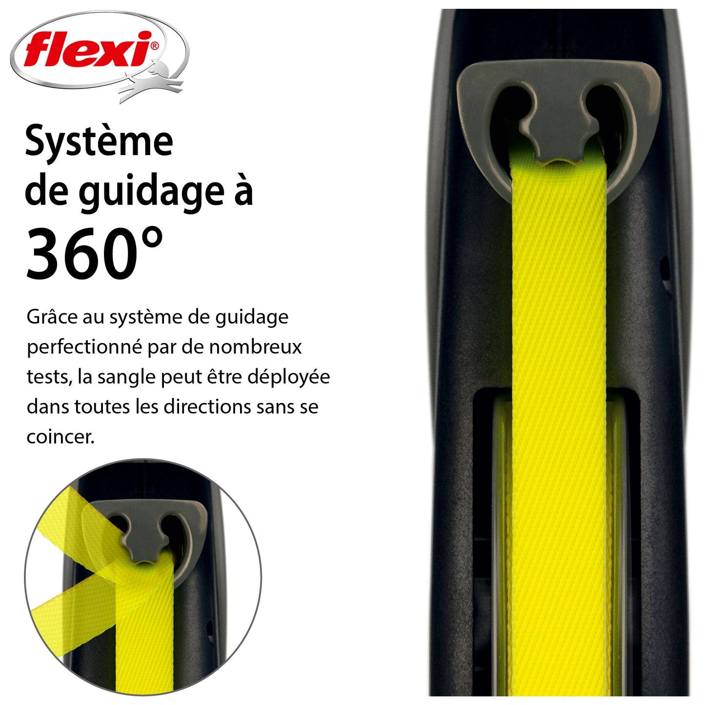 Laisse rétractable Flexi Giant Tape
